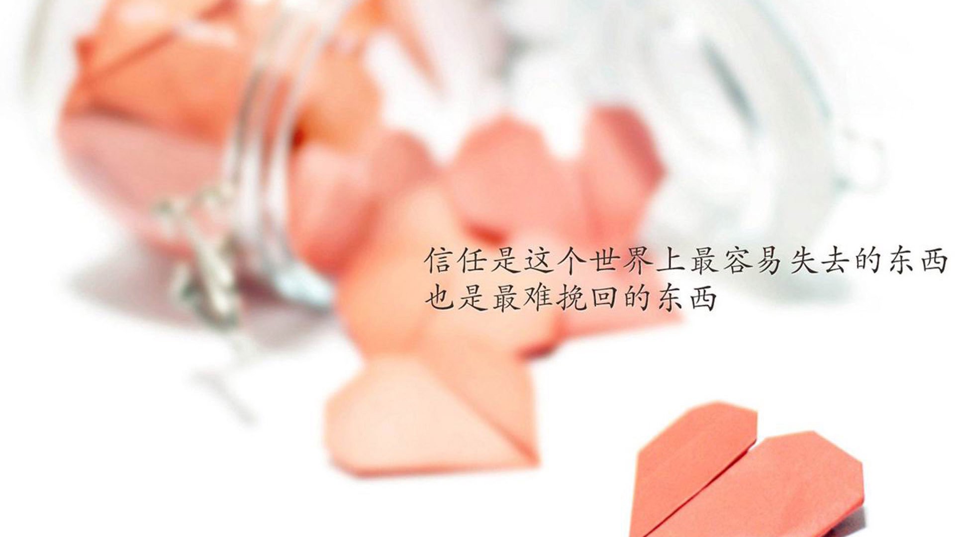 “垒球决战激烈进行!新都赛场悬念迭起”