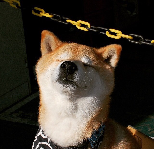 丁俊晖再夺冠军斯诺克大师赛，丁俊晖斯诺克大师赛得过冠军吗