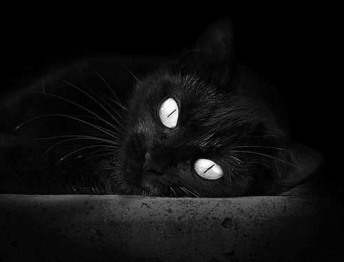 外援政策频繁调整扰乱俱乐部发展，外援限制