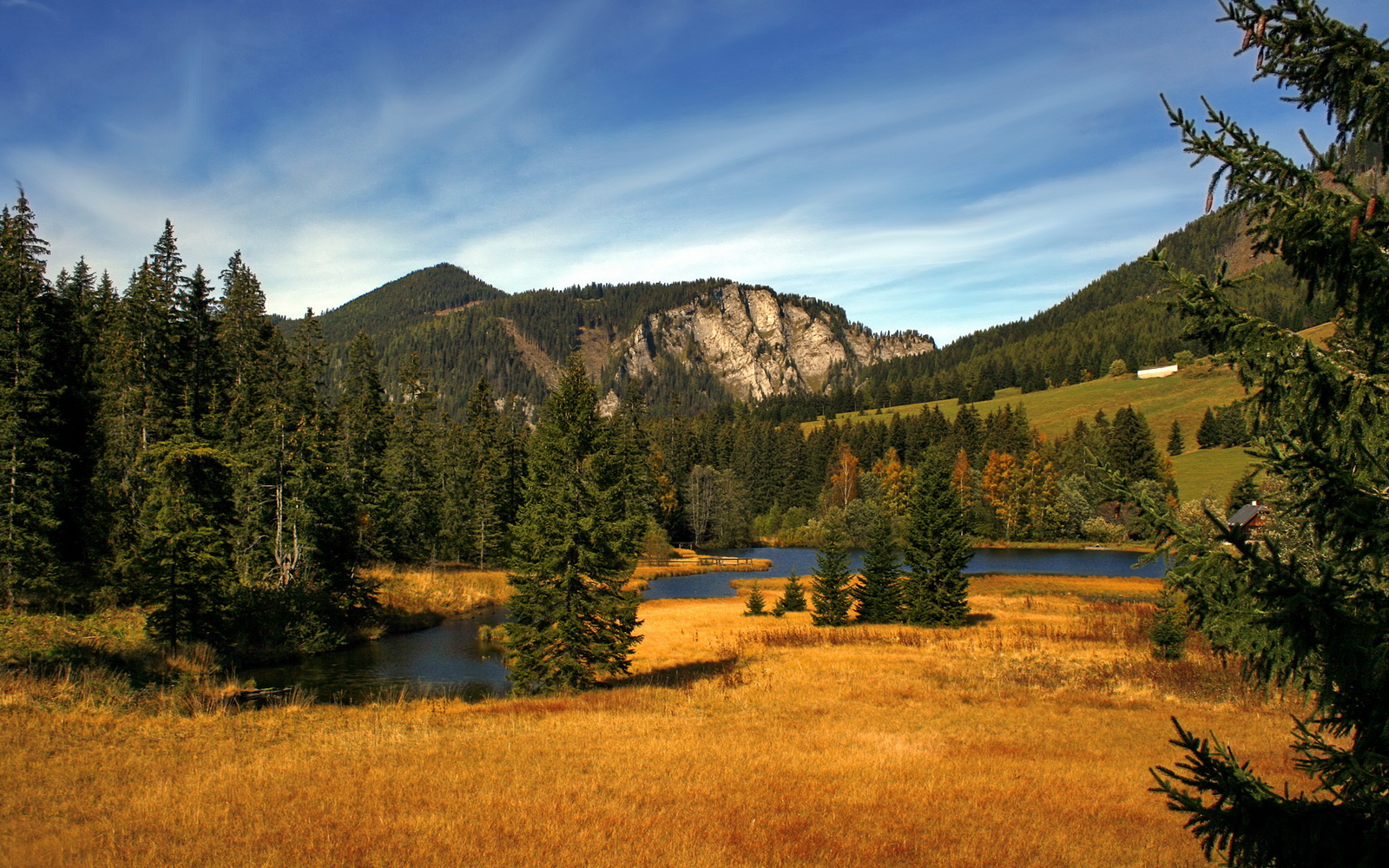 开云体育中国官方网站-“阿根廷美洲狮队：崭新的面孔，未来的无穷潜力”